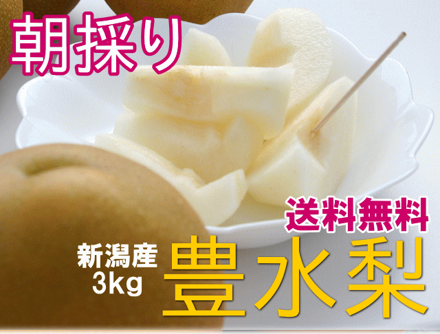 【豊水梨】新潟市江南区産3kgが送料無料!