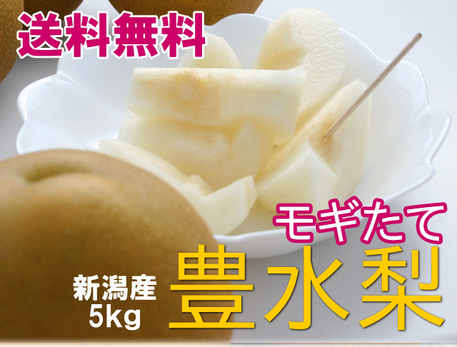 仲村農園の梨【豊水】5kgが、送料無料で3980円