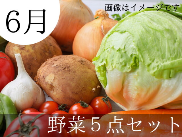 6月の朝採り新鮮野菜5点セットが送料無料