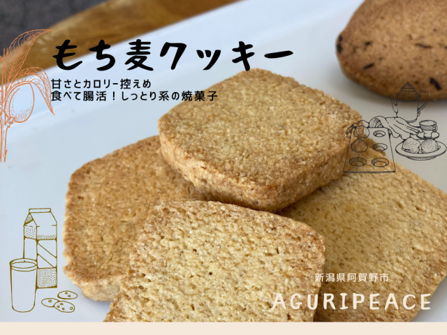 食べて腸活！新潟県阿賀野市産はねうまもち麦使用のもち麦クッキー