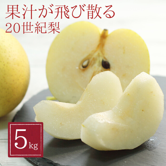 梨【20世紀】送料無料 農家直送≪朝モギ≫ 新潟市江南区産　5ｋｇ（14～18個） - 仲村農園