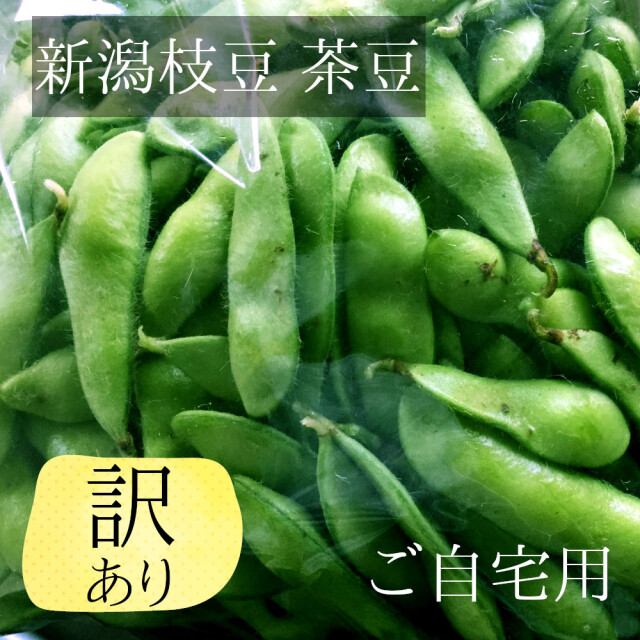 【送料無料】新潟 枝豆（えだまめ） 野菜  訳あり 1ｋｇ（キロ） 直売 朝採り 規格外品 ご家庭用 茶豆で有名な新潟市西区産