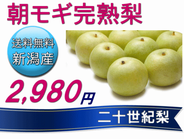 仲村農園の朝モギ完熟梨【二十世紀梨】は、3k2980円で送料無料
