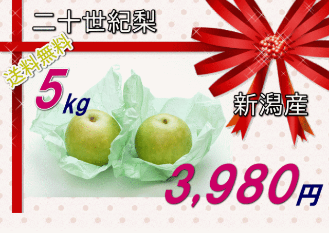 仲村農園の朝モギ完熟梨【二十世紀梨】は、5kg 3980 円で送料無料