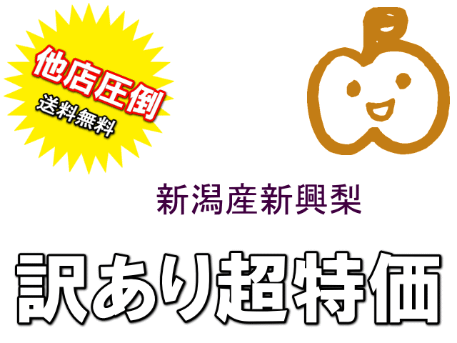 他店圧倒の訳あり特価!新潟産の新興梨が送料無料