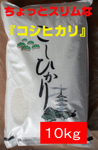 【わけありコシヒカリ】阿賀野市産ちょっとスリムな「コシヒカリ」10ｋｇ