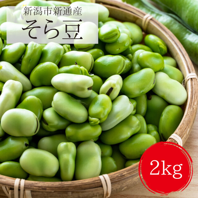 新潟産朝採りそら豆2キロ。新潟県民が待ち焦がれた初夏の味