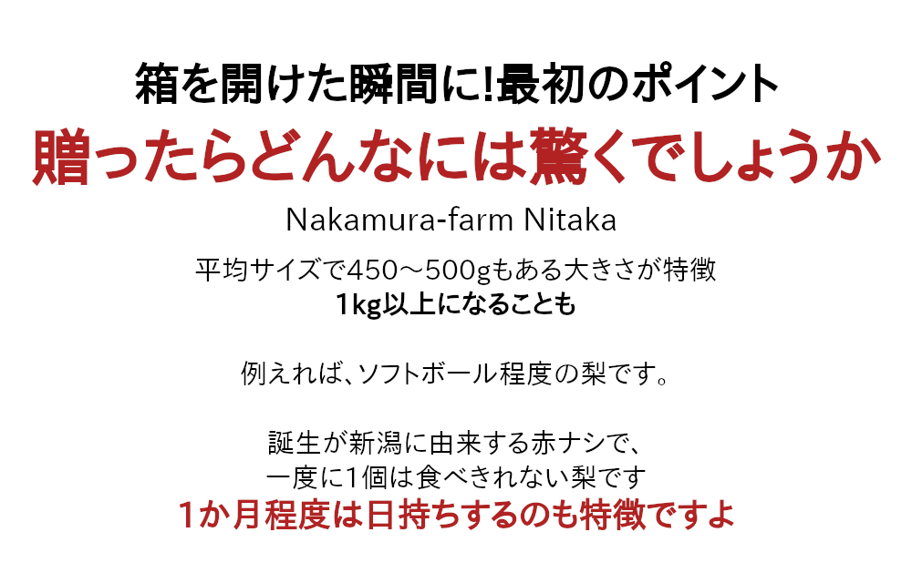 お世話になったあの方へ新高梨を贈ったら、どんなに驚くでしょうね