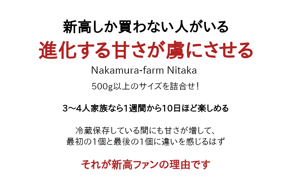 保存している間にも美味しくなる梨、新高梨