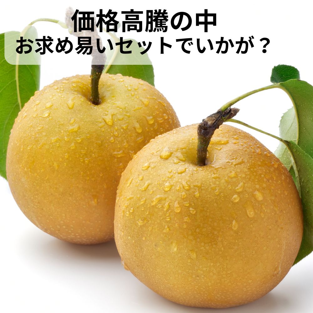 価格高騰の中、お求めやすいセットでご提案!新潟の豊水梨