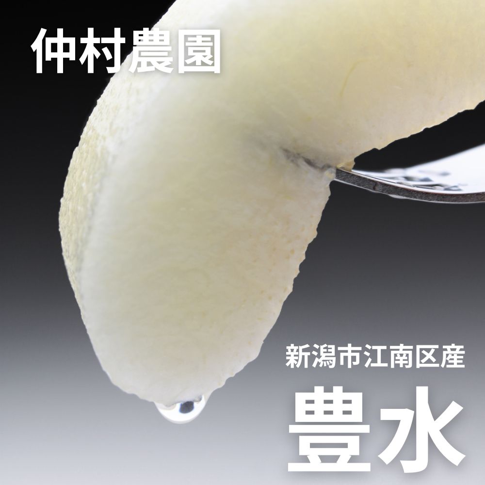新潟市江南区仲村農園の豊水梨