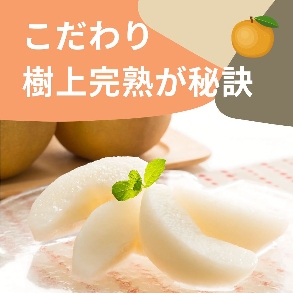 樹上完熟が新潟仲村農園のこだわり