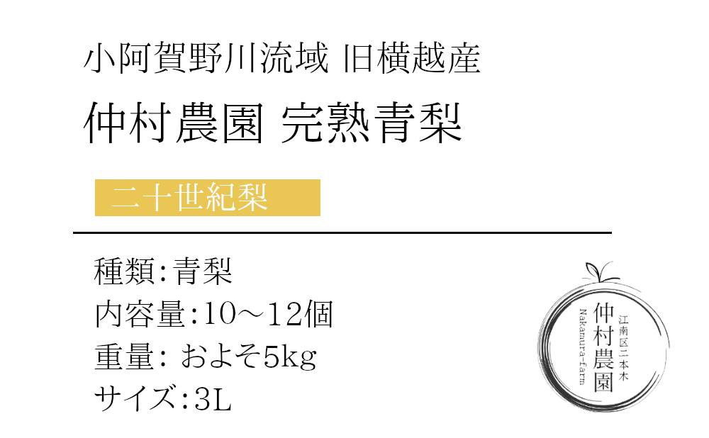 大玉二十世紀梨5ｋｇの商品詳細