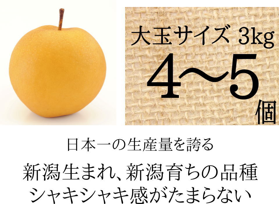 新興梨 食べごろ 大玉 3ｋｇ 送料無料 - 新潟仲村農園産