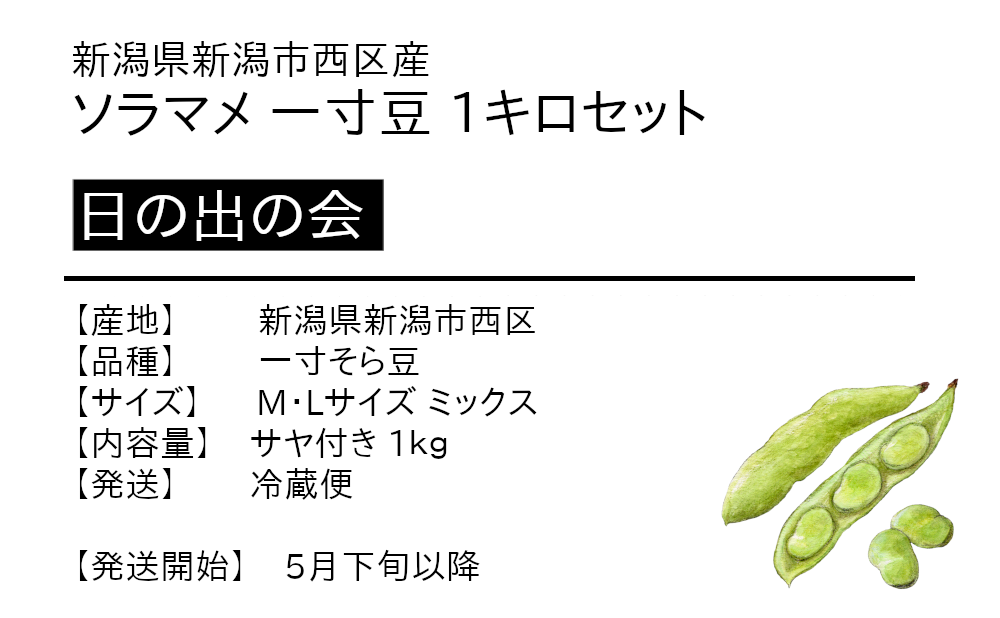 【送料無料】新潟産 そら豆 （ソラマメ） 1ｋｇ（キロ）の商品詳細