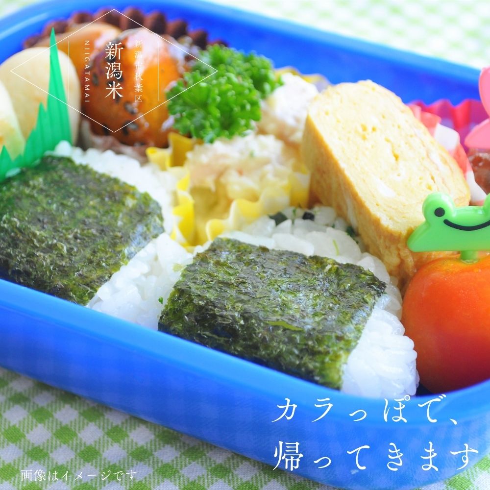 布施さんの新潟米 コシヒカリ 白米 5kg 新潟県新潟市秋葉区産 生産者直送