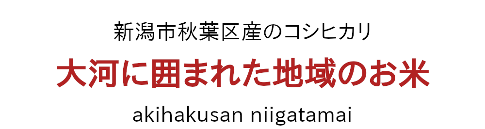 大河で囲まれた新潟市秋葉区、布施さんのコシヒカリ