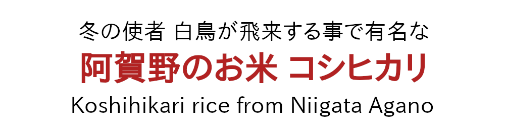 新潟 阿賀野 コシヒカリ 新米 農家 直送