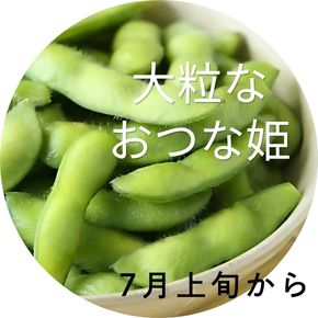 新潟枝豆【おつな姫】は、7月上旬から