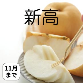 新潟 仲村農園の新高梨の収穫開始