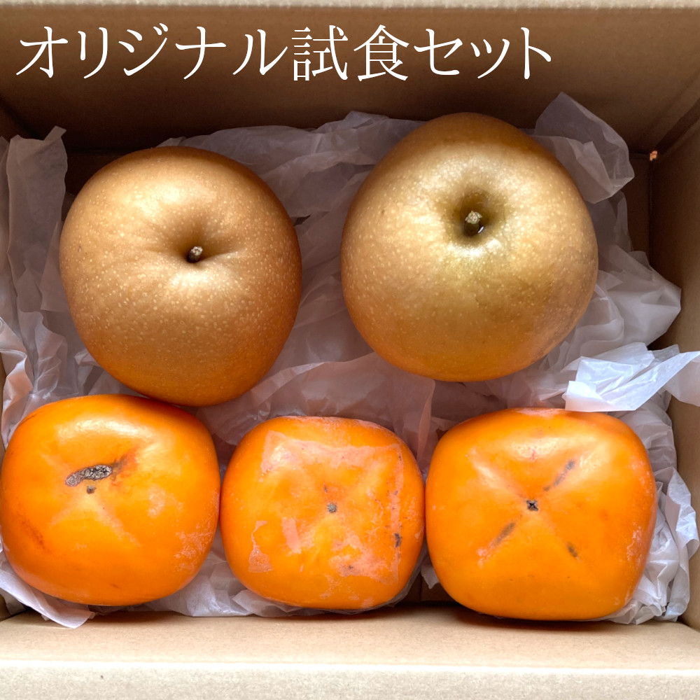 新興梨と八珍柿のお試しセット。