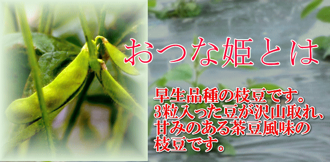 おつな姫は、早生品種の枝豆です。甘みがあり、茶豆風味の枝豆です