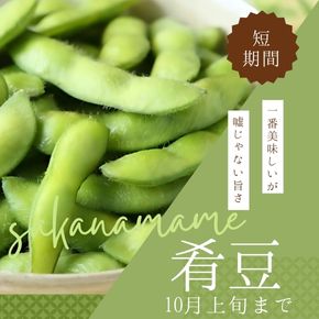 いよいよ待望の肴豆！短期間限定