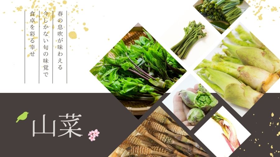 春の味覚満載！旬の山菜が多数販売中！