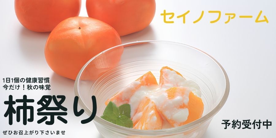 【柿祭り始まる！】セイノファーム 新潟産平種無し柿のご予約受付中