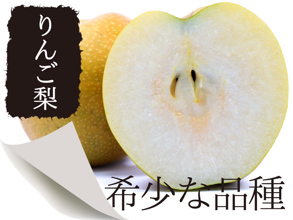 リンゴ梨と呼ばれる希少な品種。新星