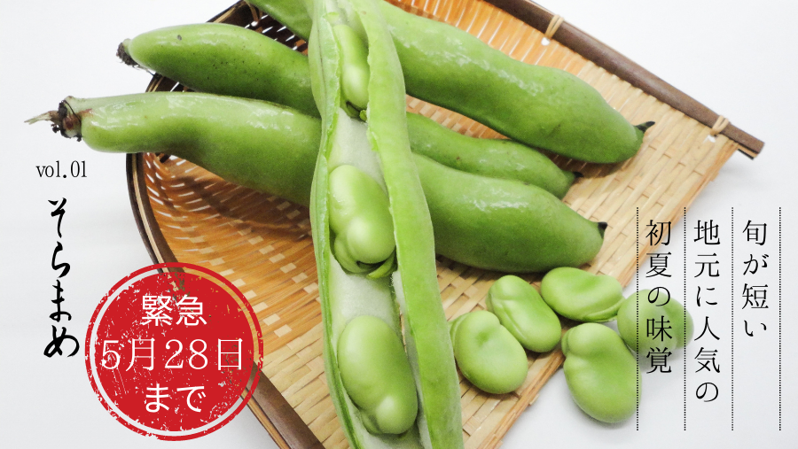 旬が短い地元で人気の新潟産そらまめ