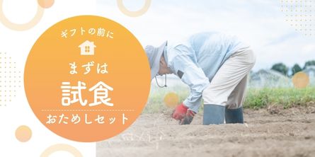美味しい新潟の試食セット