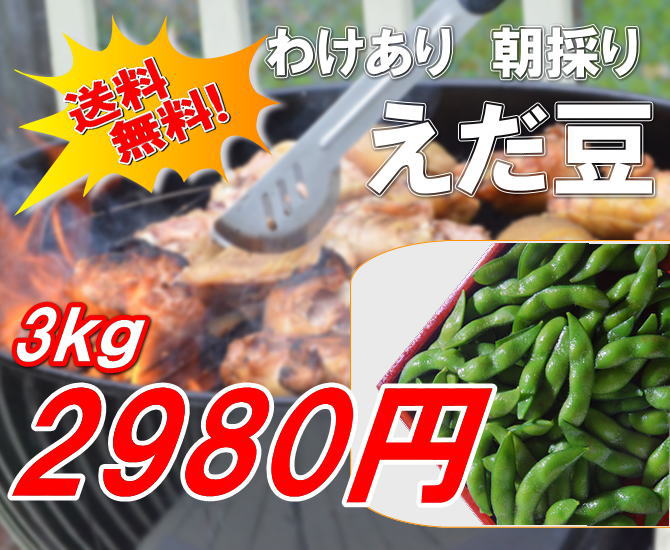 わけあり阿賀野産枝豆が、3ｋｇ2980円！
