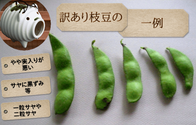 わけあり枝豆 | 新潟県阿賀野産えだ豆 3ｋｇ【Ｂ品】送料無料