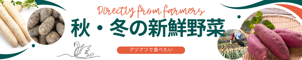 鍋料理などで沢山食べたい！新潟の秋冬野菜特集