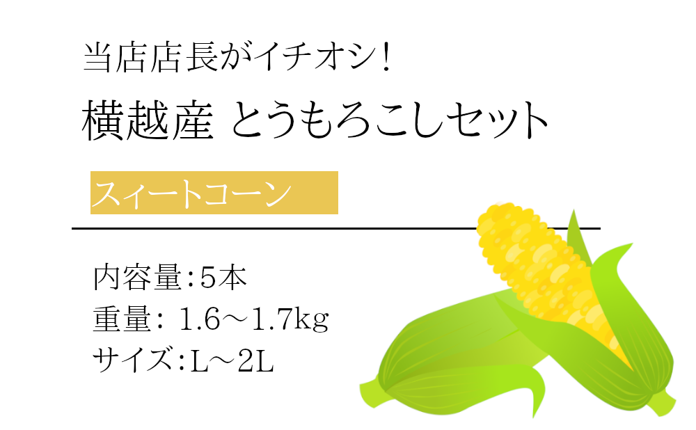 店長買い付け！横越産トウモロコシ5本セットの商品詳細