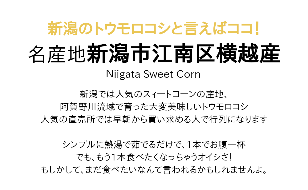 新潟で人気の産地、新潟市江南区横越産のトウモロコシです