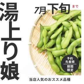 新潟枝豆 湯あがり娘は、7月下旬まで